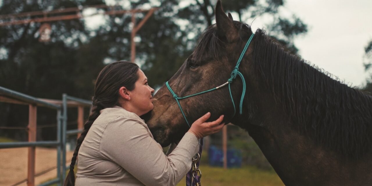 Saddles in Service provides equine-assisted healing to vets, first responders
