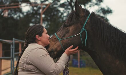 Saddles in Service provides equine-assisted healing to vets, first responders