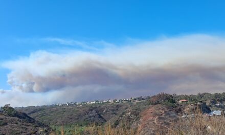 Pipeline Fire burns more than 1,000 acres at Camp Pendleton