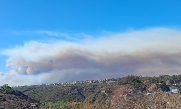 Pipeline Fire burns more than 1,000 acres at Camp Pendleton