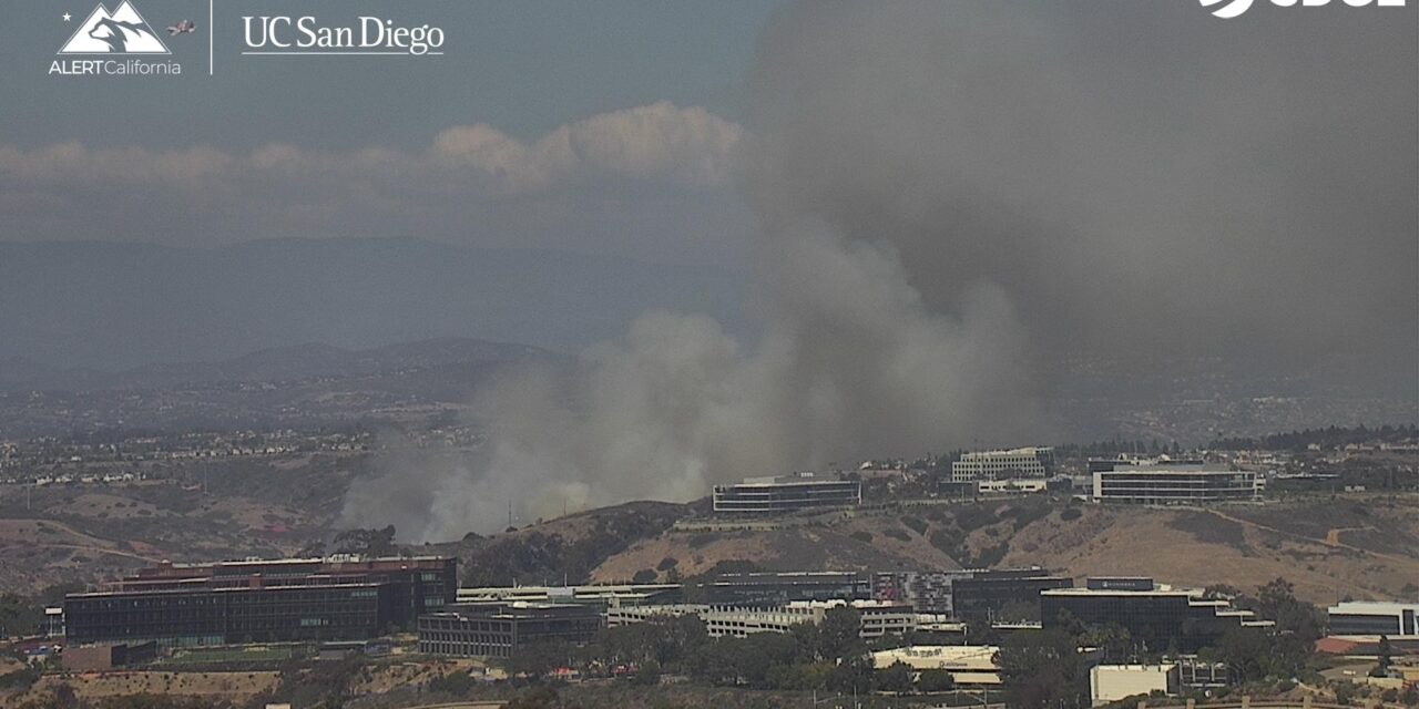 San Diego police arrest suspected arsonist in Sorrento Valley fire
