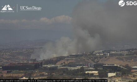San Diego police arrest suspected arsonist in Sorrento Valley fire