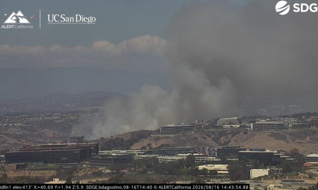 San Diego police arrest suspected arsonist in Sorrento Valley fire