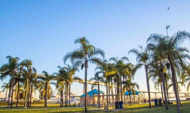 Port of San Diego renames Barrio Logan to Chicano Park on the Bay