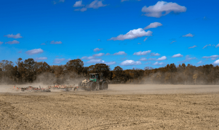 UC San Diego study finds changes to California’s landscapes may influence Valley Fever risk
